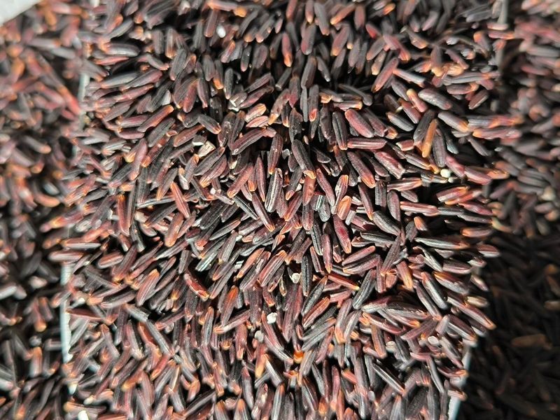 Черный рис 500гр 10258 фото